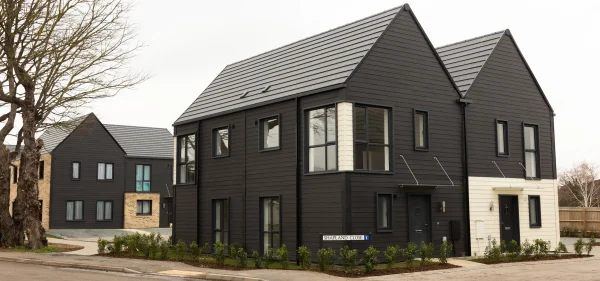 Black and white panelled new build houses